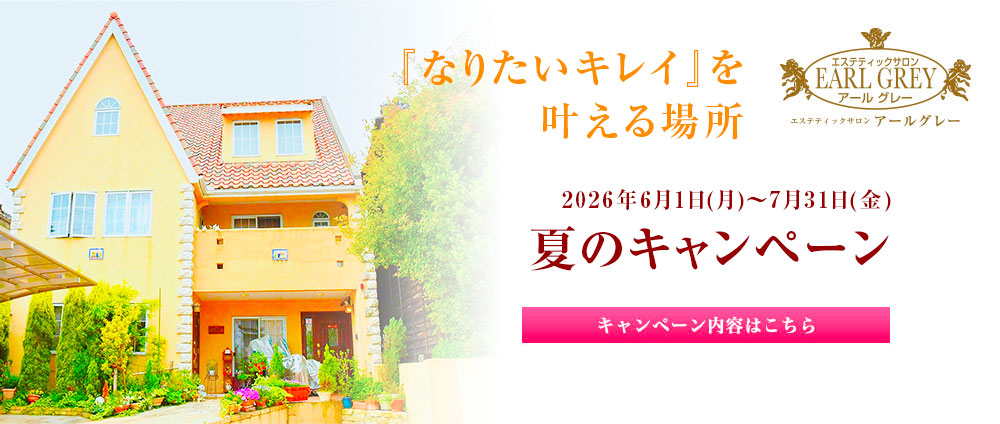 夏のキャンペーン