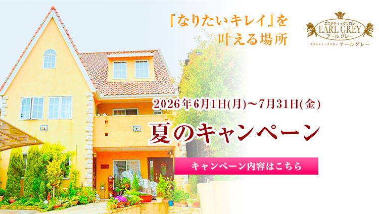 夏のキャンペーン